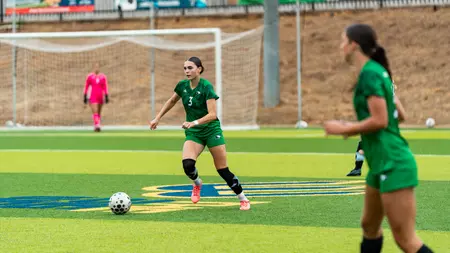 Fighting Hawks Fall to Highlanders, 2-1, in Sunday Matinee